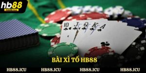 Bài Xì Tố - Cách Chơi, Cách Cược Và Bí Quyết Chiến Thắng