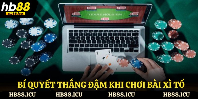 Bí quyết thắng đậm khi chơi bài xì tố