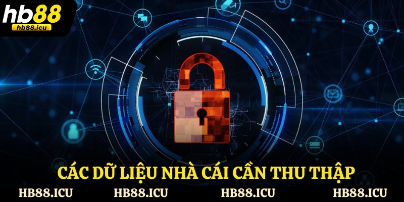 Các dữ liệu nhà cái cần thu thập